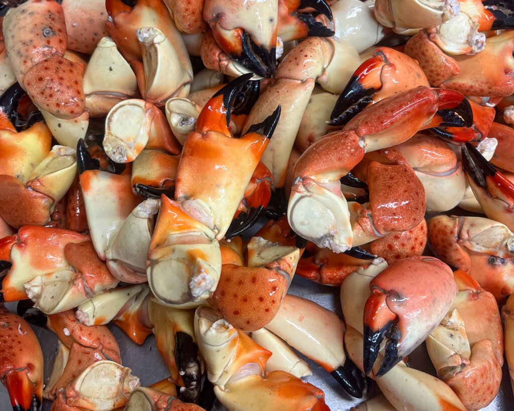 stone crab legs, only available in season!